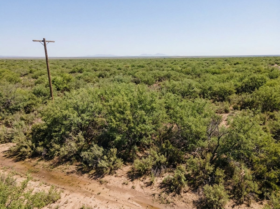 Commercial Property for Sale in Vanwyksvlei Northern Cape